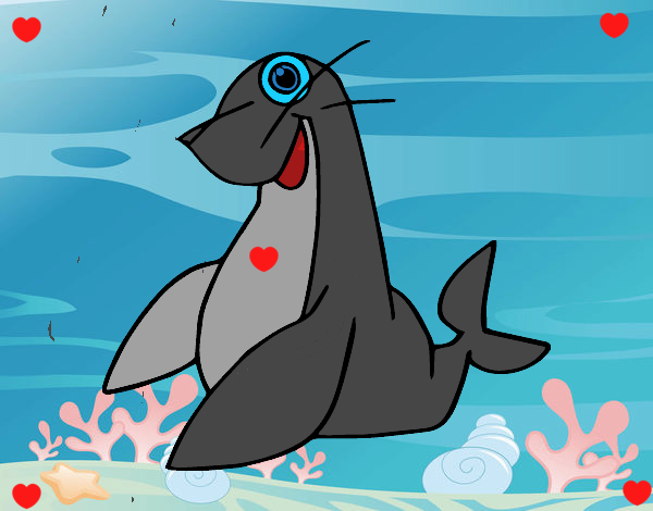 Foca monje