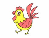 Gallina de granja