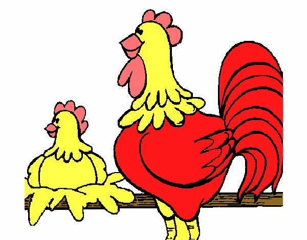 Gallo y gallina