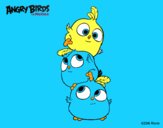 Las crias de Angry Birds