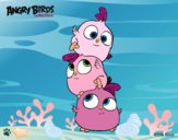 Las crias de Angry Birds