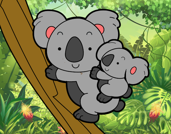 Madre koala