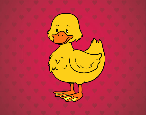 Patito de granja