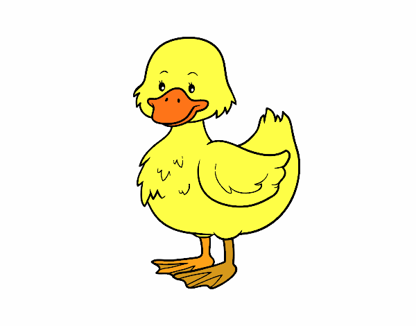 patito de granja