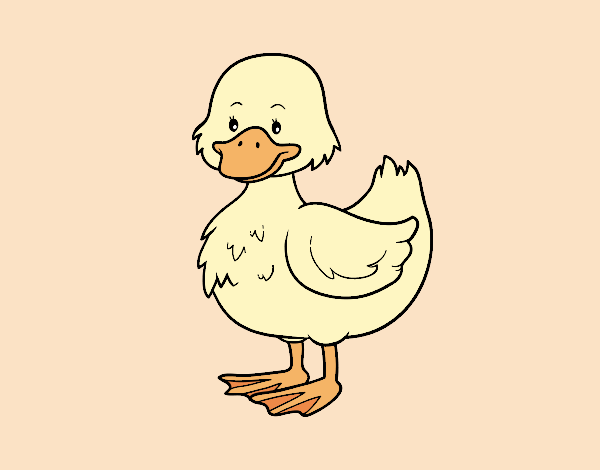 Patito de granja