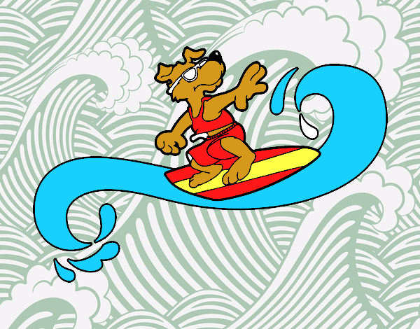 Perro surfeando