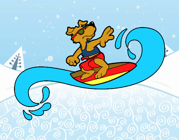 Perro surfeando