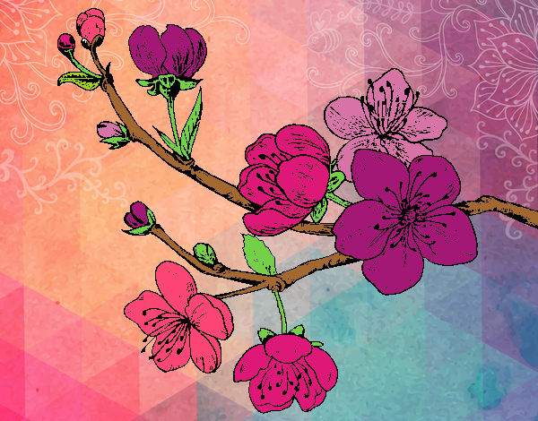 Dibujo Rama de cerezo pintado por epv4