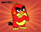 Red de Angry Birds