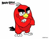 Red de Angry Birds