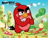 Red de Angry Birds