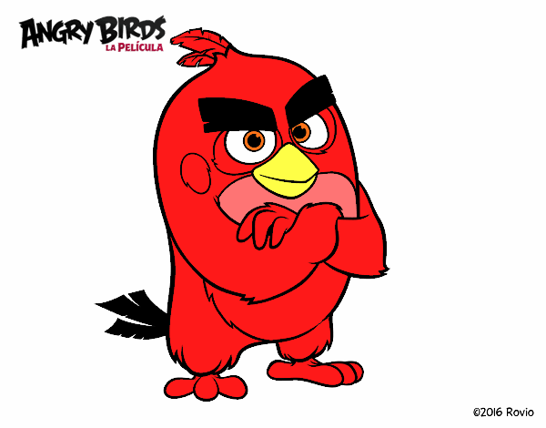 Red de Angry Birds