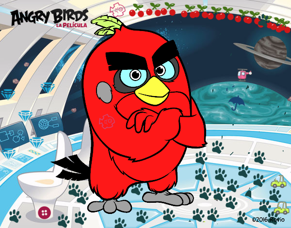 Red de Angry Birds