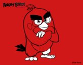 Red de Angry Birds