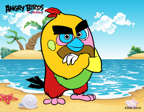 Red de Angry Birds