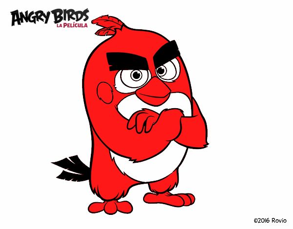 Red de Angry Birds