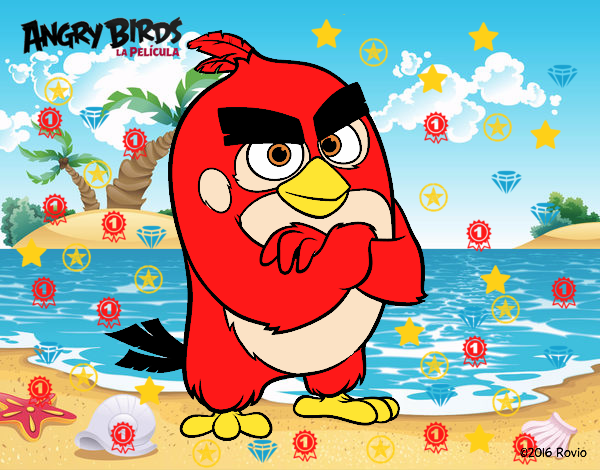 Red de Angry Birds