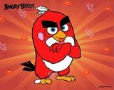 Red de Angry Birds