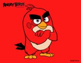 Red de Angry Birds