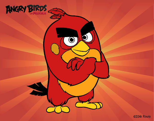 Red de Angry Birds