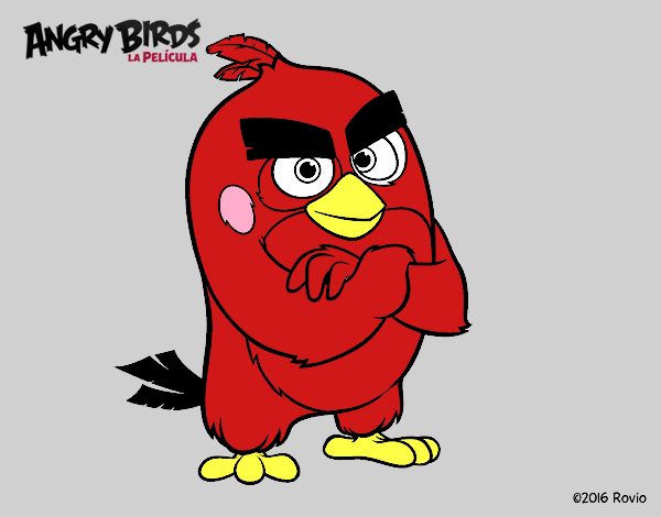 Red de Angry Birds