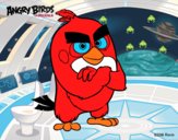 Red de Angry Birds