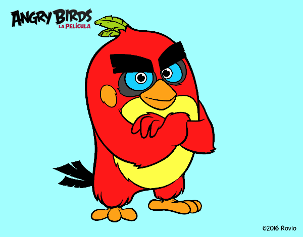 Red de Angry Birds