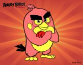 Red de Angry Birds