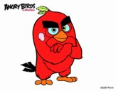 Red de Angry Birds