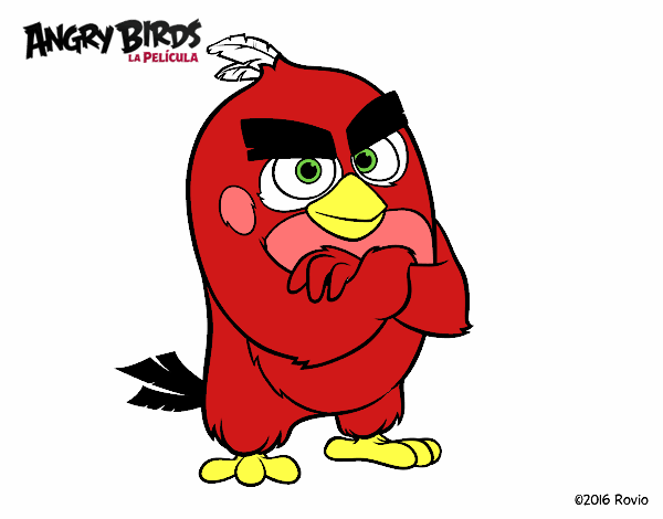 Red de Angry Birds