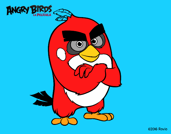 Red de Angry Birds