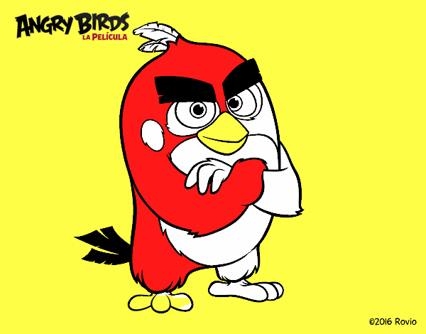 Red de Angry Birds