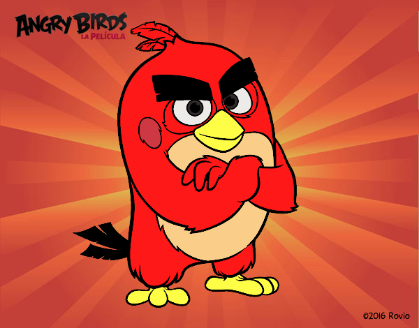 Red de Angry Birds