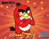 Red de Angry Birds