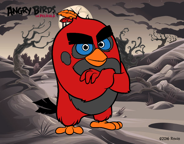 Red de Angry Birds