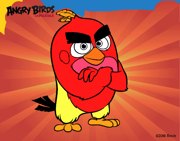 Red de Angry Birds