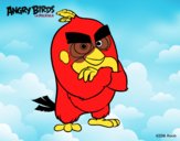 Red de Angry Birds