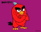 Red de Angry Birds