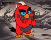 Red de Angry Birds