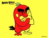 Red de Angry Birds