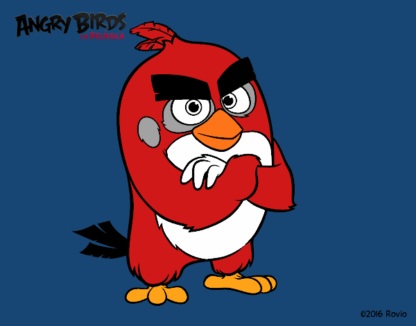 Red de Angry Birds