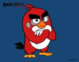 Red de Angry Birds