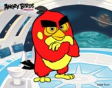 Red de Angry Birds