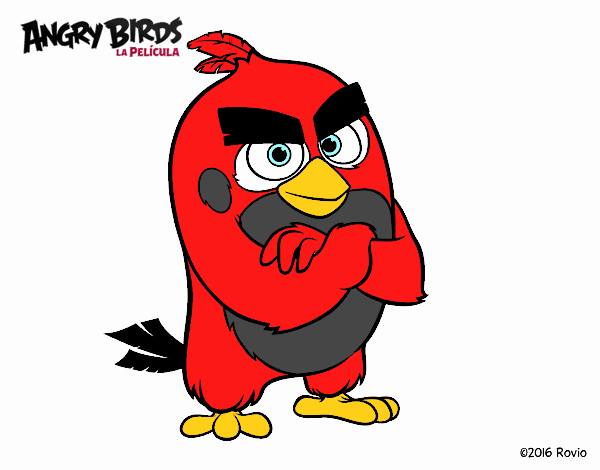 Red de Angry Birds