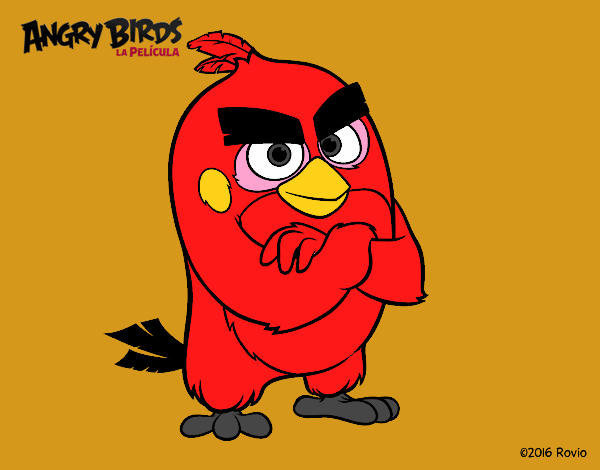 Red de Angry Birds