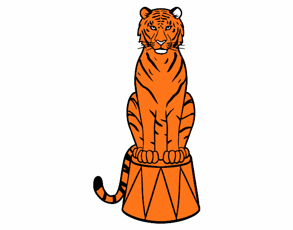 Tigre de circo