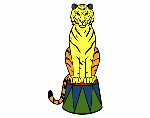 Tigre de circo