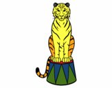 Tigre de circo