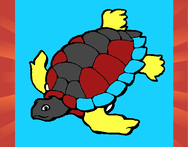 Tortuga