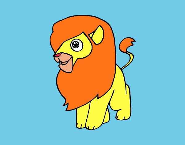 Un león